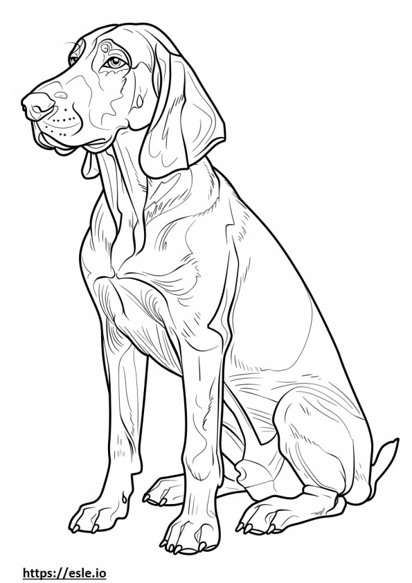 American Coonhound sarjakuva värityskuva