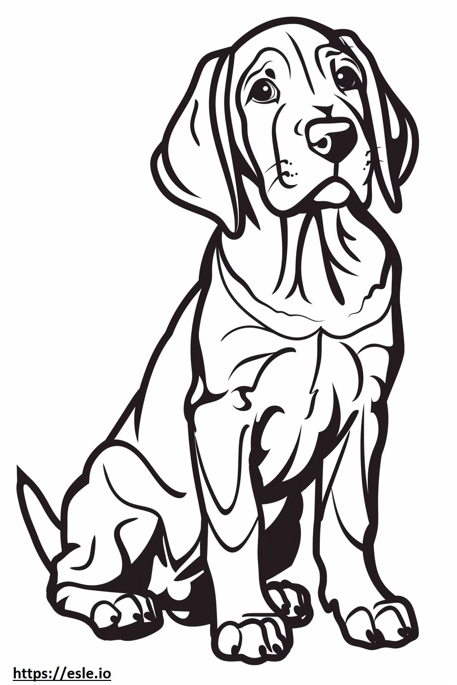 Coonhound americano fofo para colorir