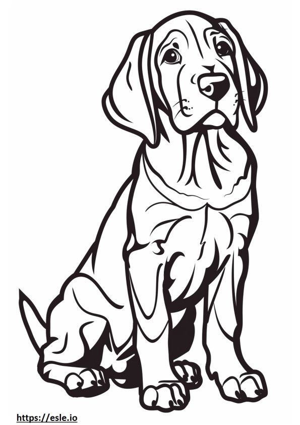 Amerikaanse Coonhound schattig kleurplaat