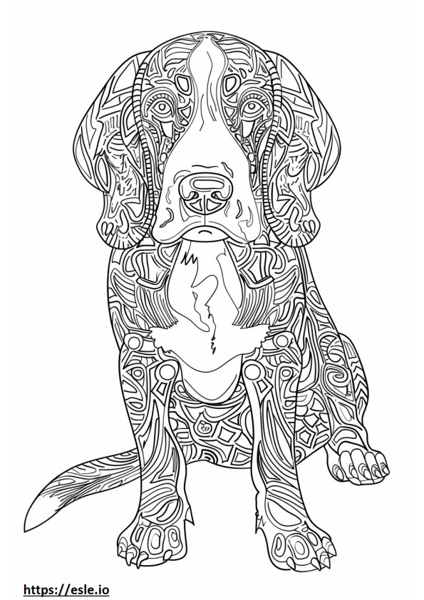 American Coonhound cute coloring page