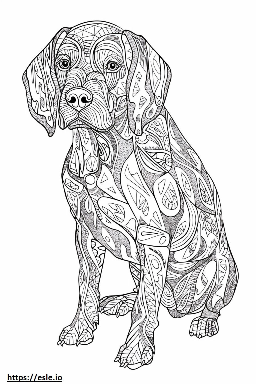Coonhound americano feliz para colorir