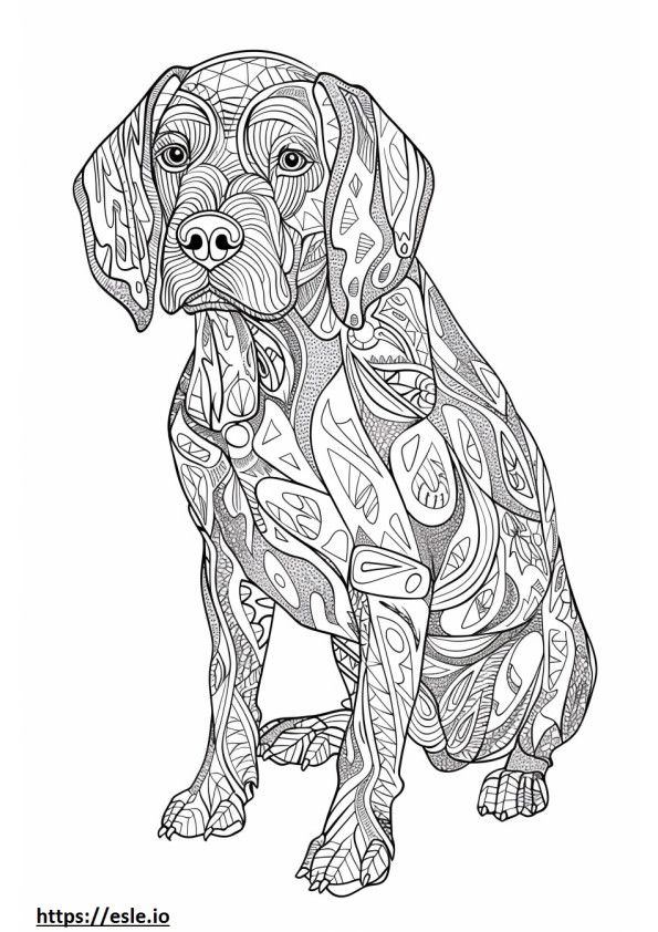 American Coonhound onnellinen värityskuva