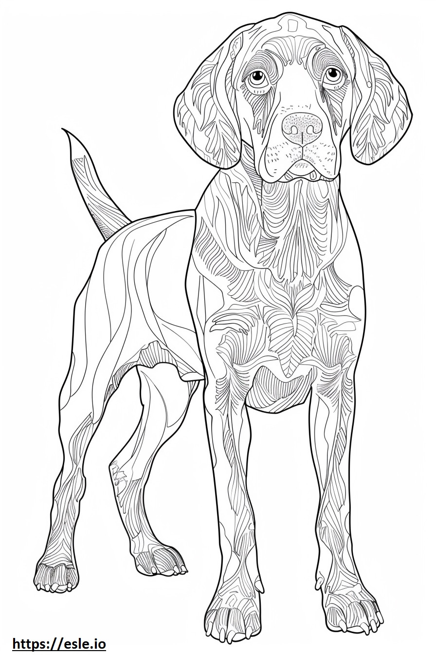 Coonhound americano feliz para colorear e imprimir
