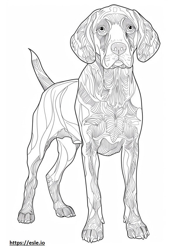 Amerikaanse Coonhound blij kleurplaat