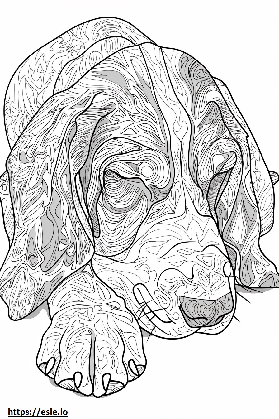 Amerikaanse Coonhound-slaap kleurplaat kleurplaat