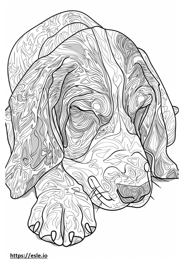 Amerikan coonhound nukkuu värityskuva