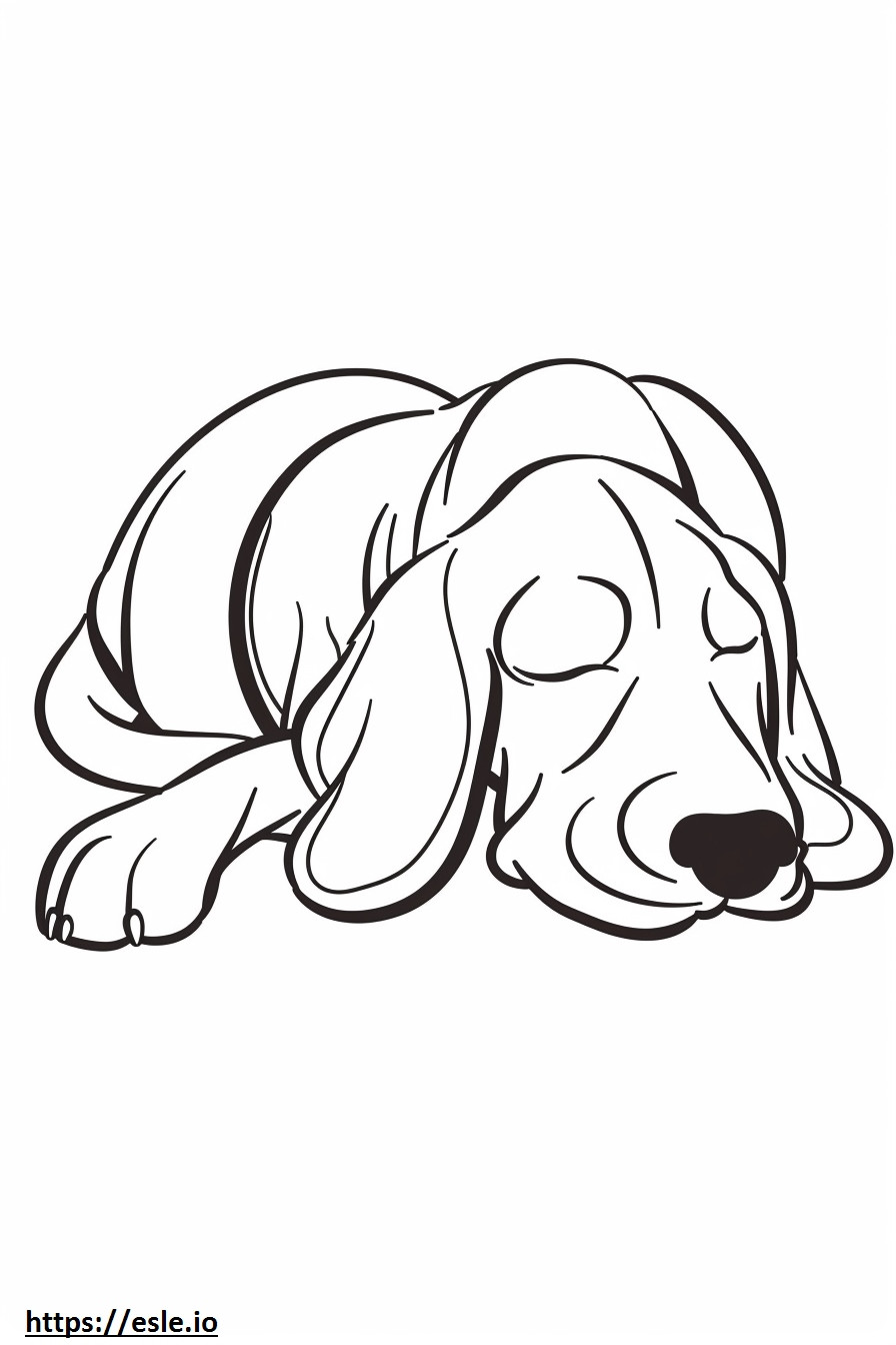 Amerikan coonhound nukkuu värityskuva