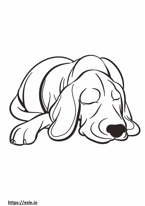 Amerikai coonhound alszik szinező