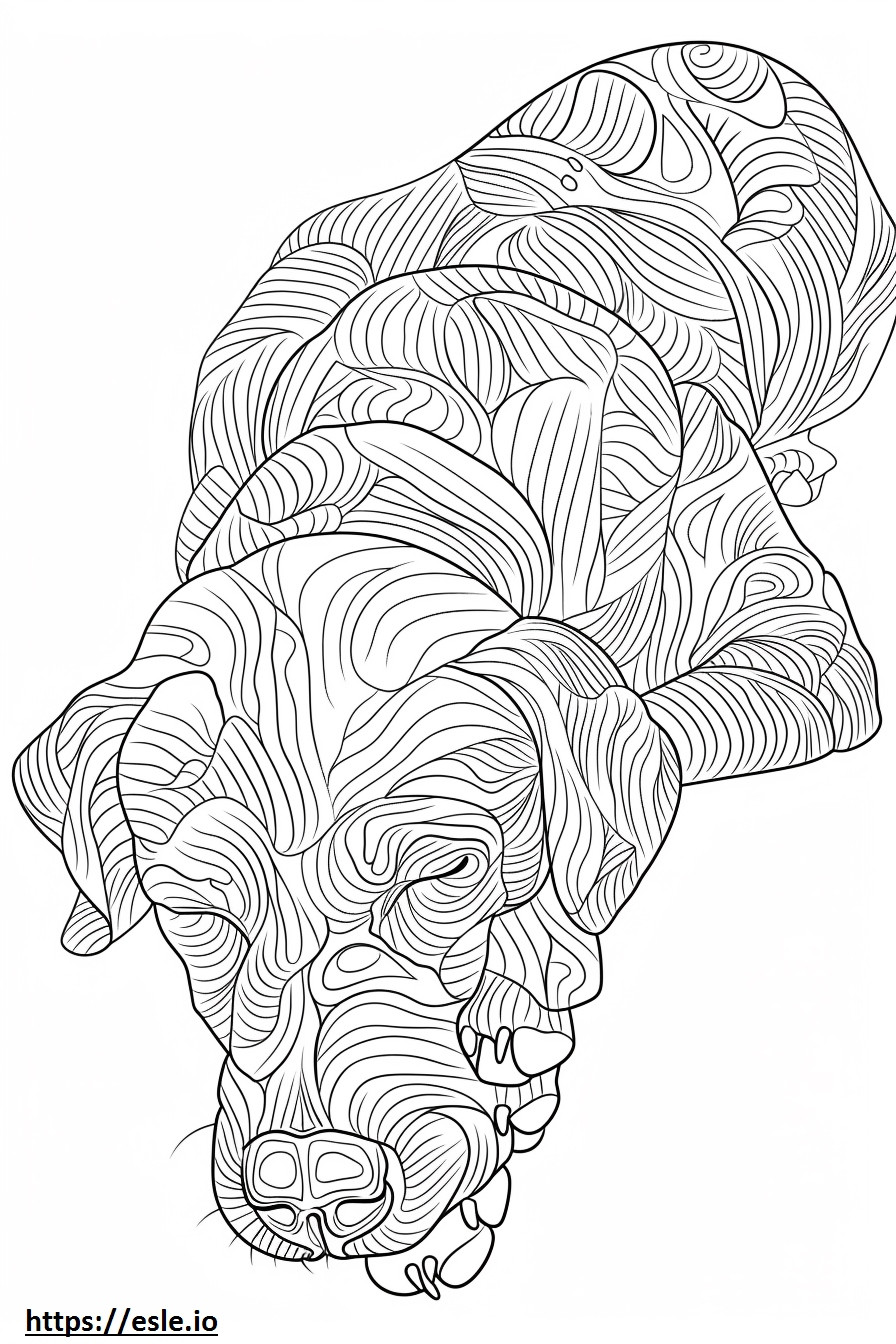 American Coonhound Sleeping coloring page