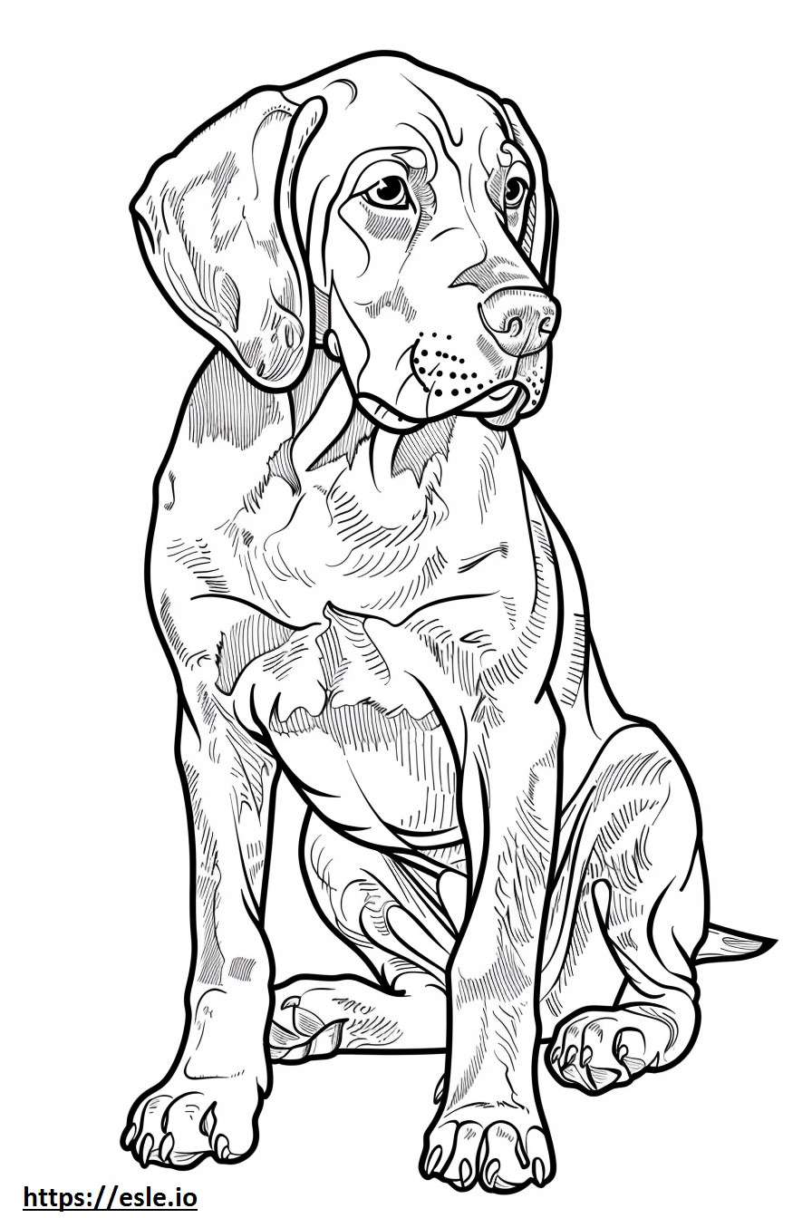 Amerikan coonhound leikkii värityskuva