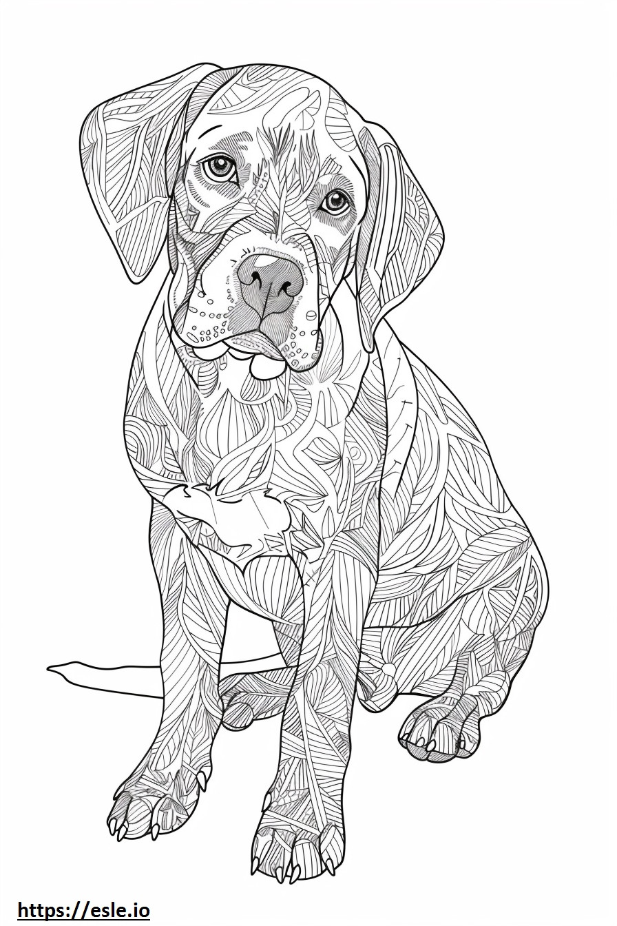 Amerikaanse Coonhound-vriendelijk kleurplaat kleurplaat