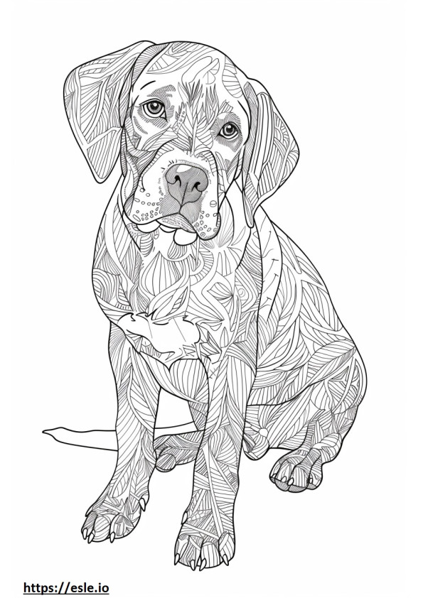 Coloriage Amical pour les coonhounds américains à imprimer
