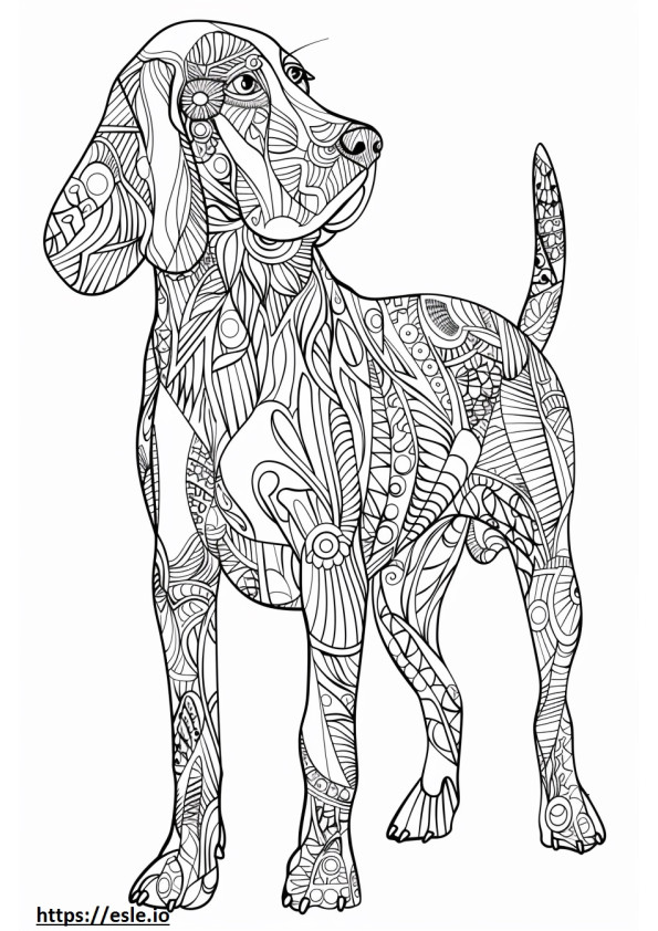 Amerikan coonhound ystävällinen värityskuva