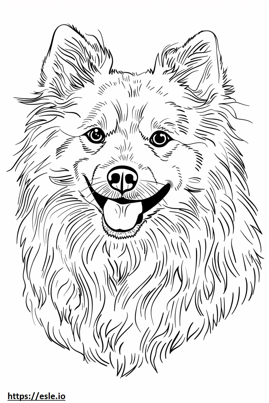 American Eskimo Dog face coloring page
