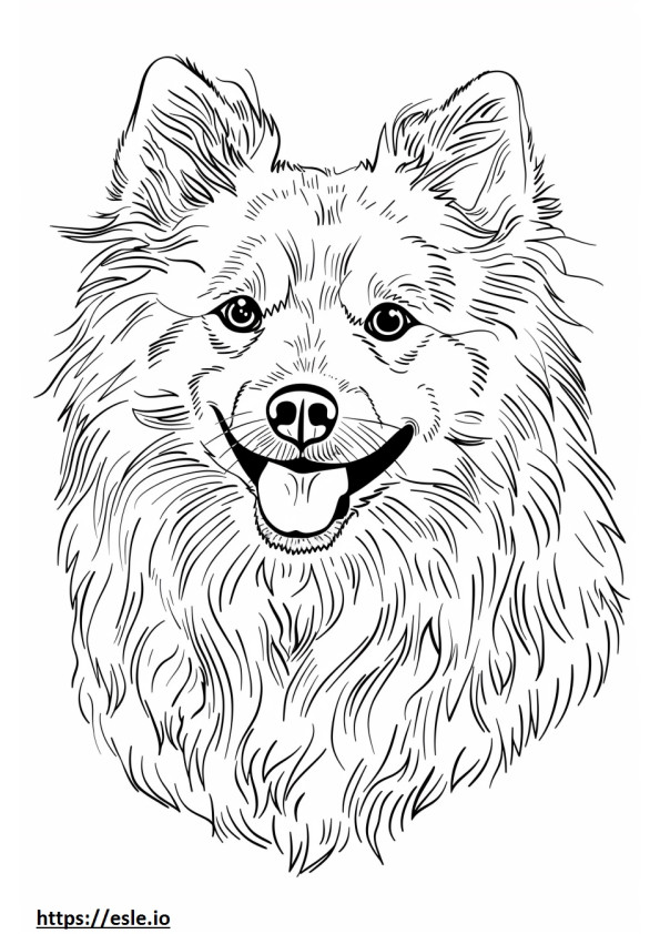 アメリカンエスキモー犬の顔 ぬりえ - 塗り絵