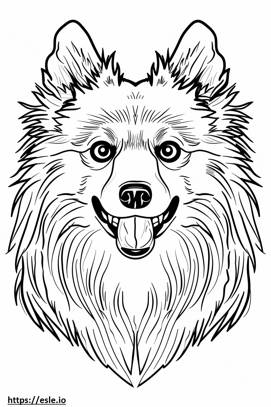 Coloriage Visage de chien esquimau américain à imprimer