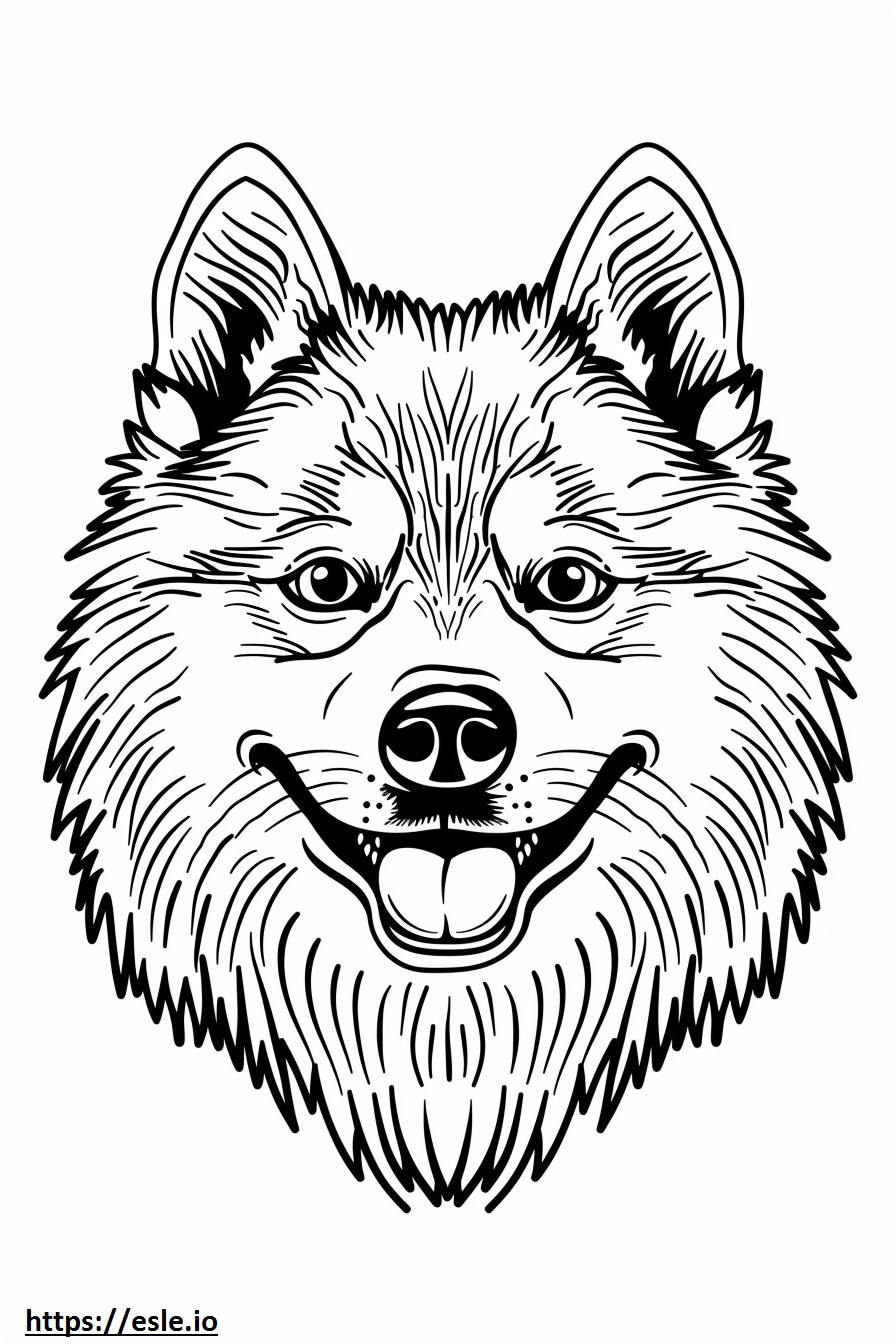 Cara de perro esquimal americano para colorear e imprimir