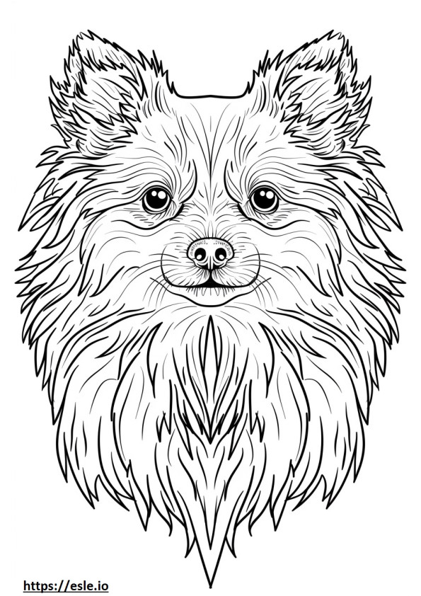 Cara de perro esquimal americano para colorear e imprimir