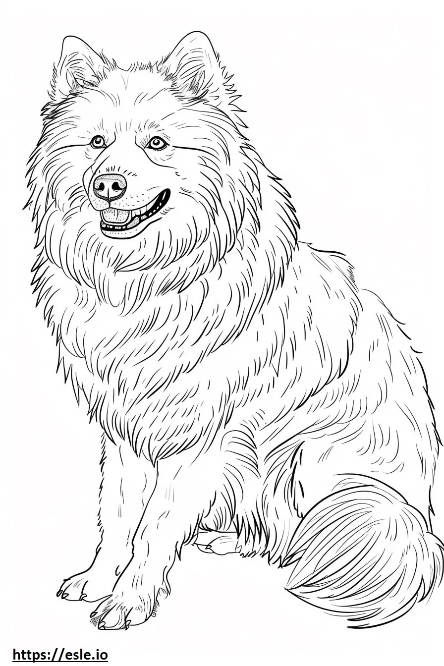 Perro esquimal americano de cuerpo completo para colorear e imprimir