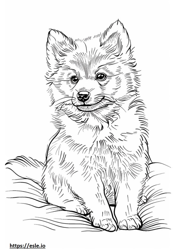 Coloriage Bébé chien esquimau américain à imprimer