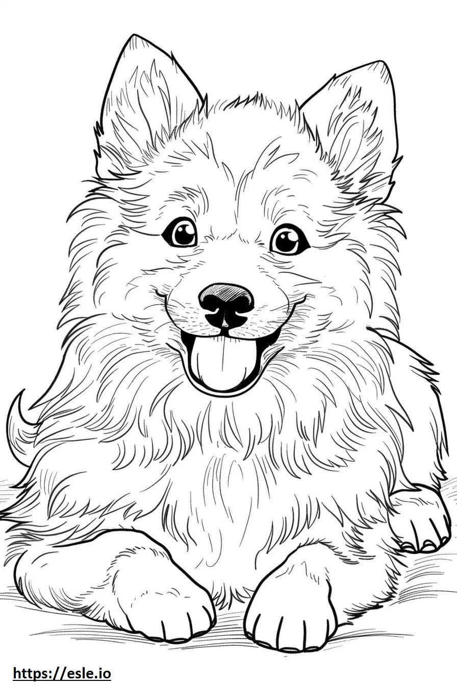アメリカンエスキモー犬の笑顔の絵文字 ぬりえ - 塗り絵