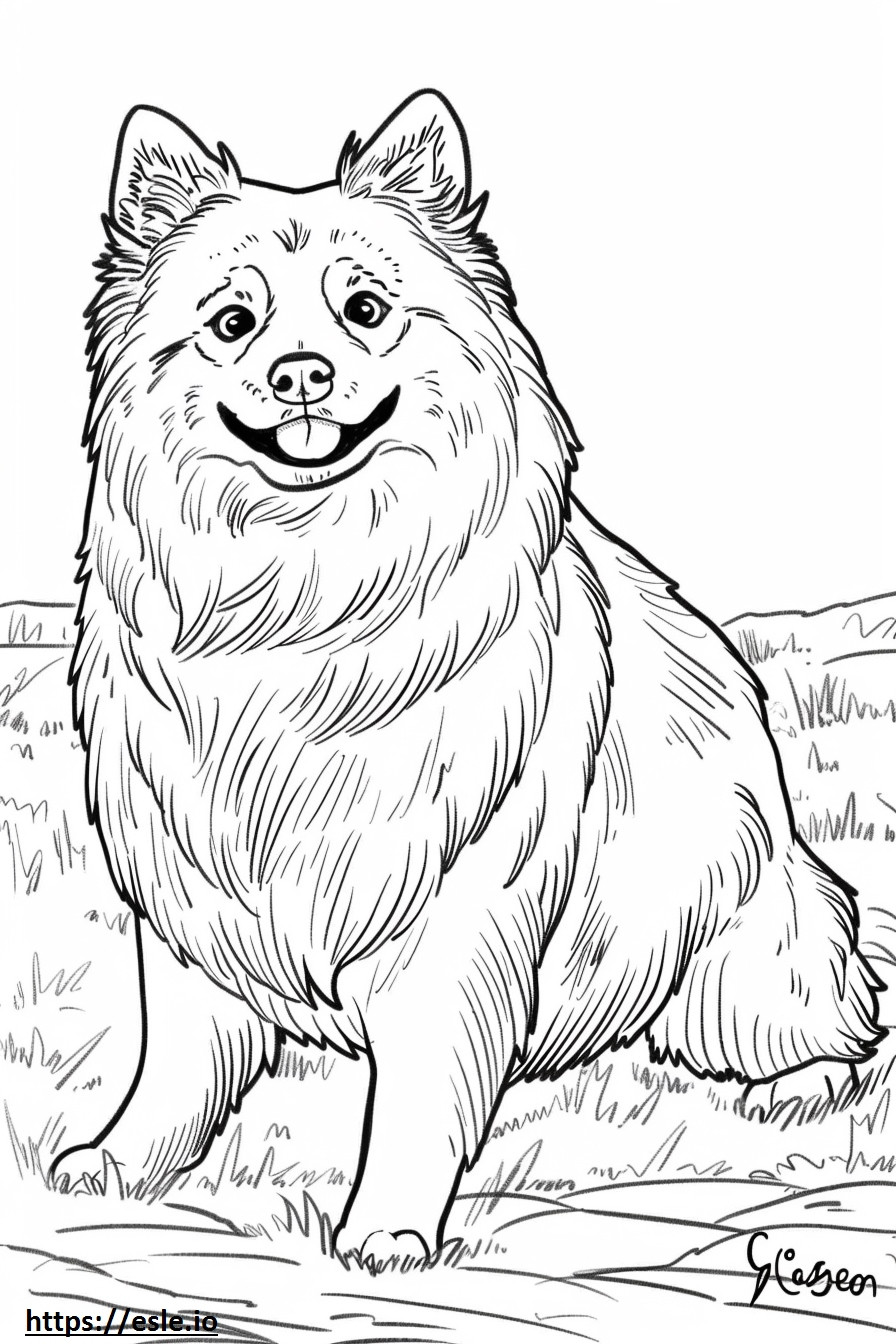 アメリカのエスキモー犬の漫画 ぬりえ - 塗り絵