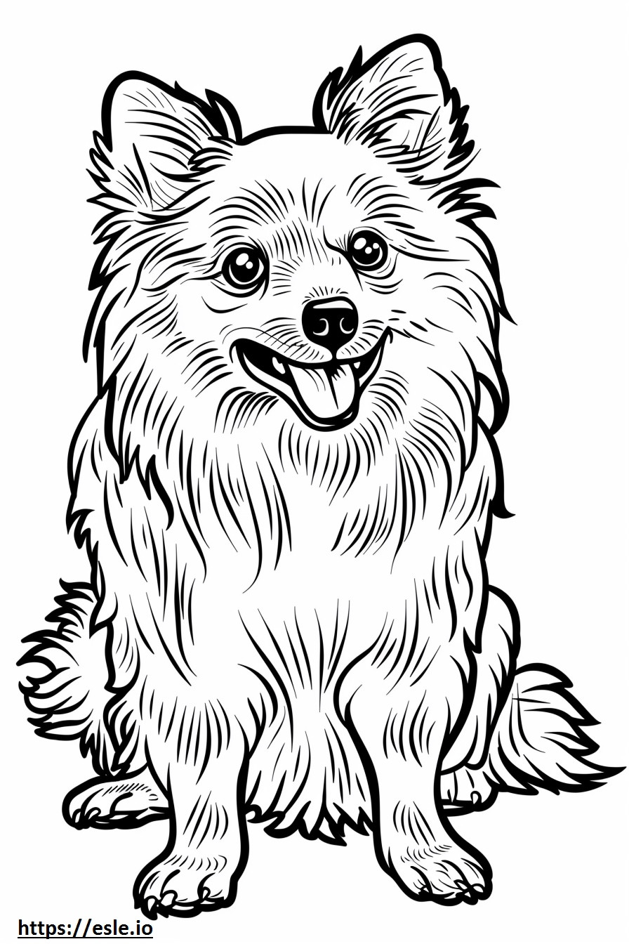 Amerikan Eskimo Köpeği çizgi filmi boyama