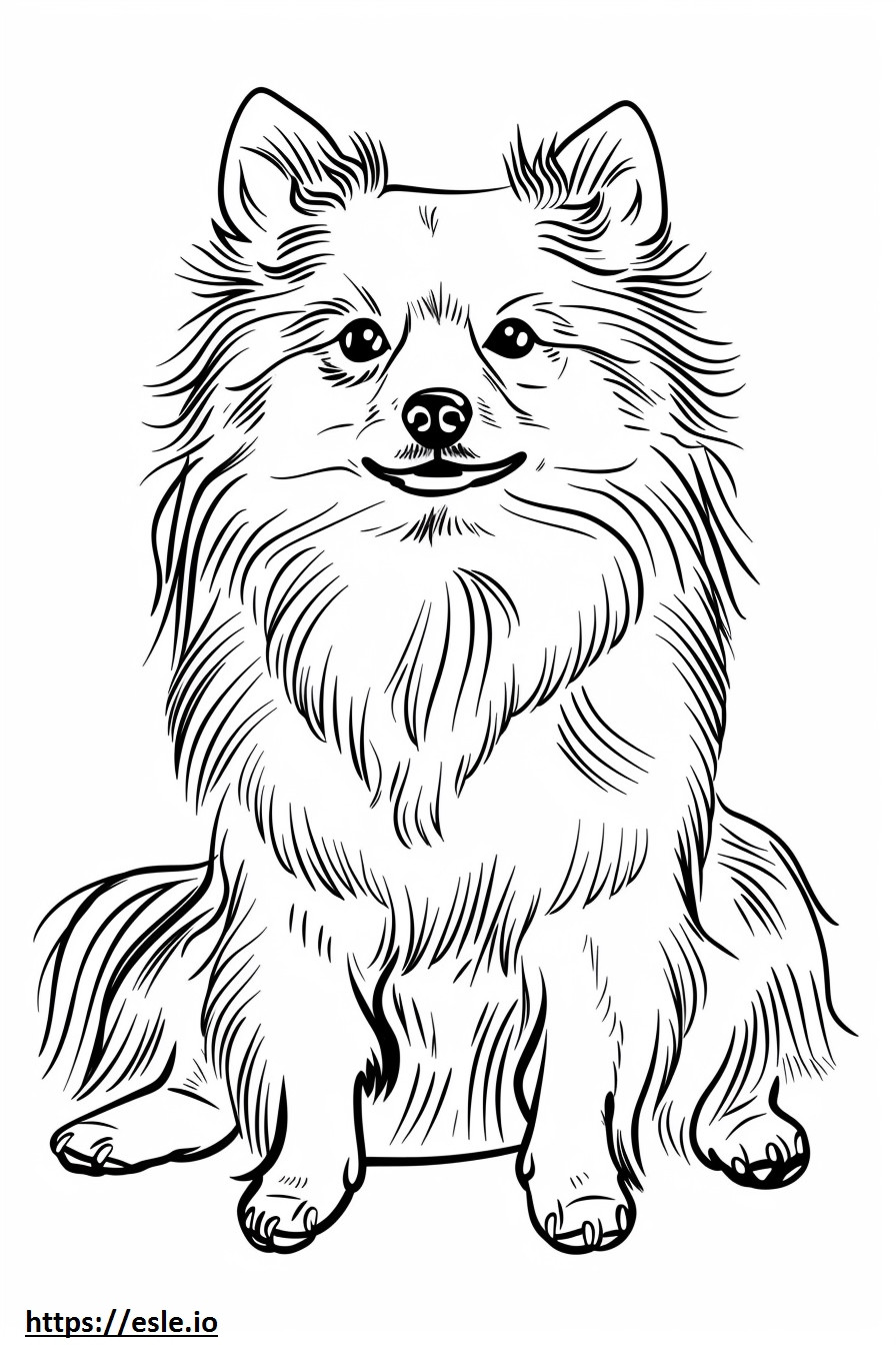 Kreskówka amerykańskiego psa eskimoskiego kolorowanka