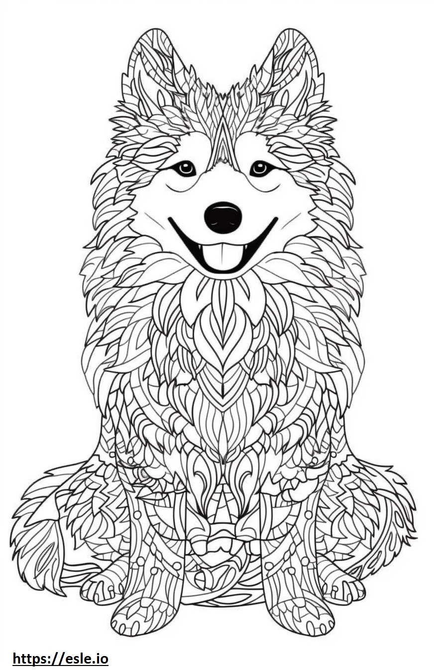 Perro esquimal americano feliz para colorear e imprimir