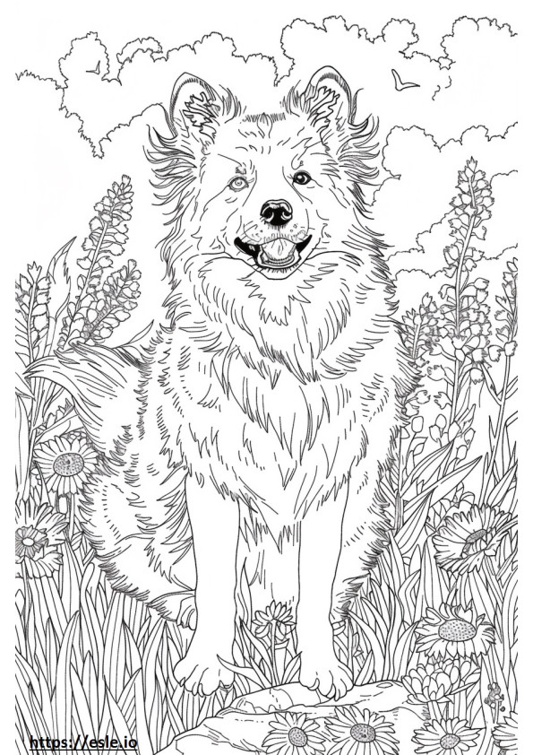 American Eskimo Dog happy coloring page