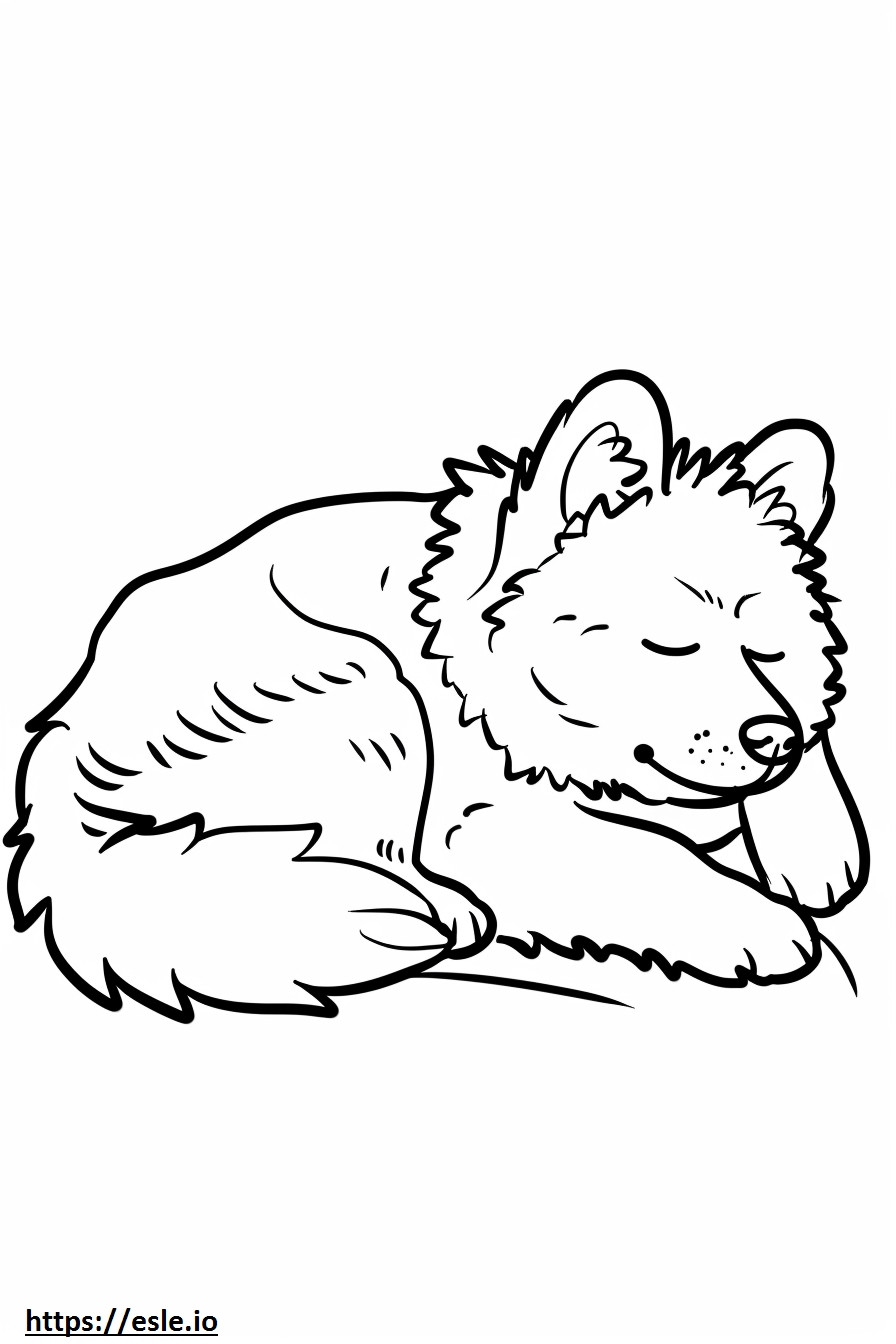 Amerikaanse Eskimohond slaapt kleurplaat kleurplaat