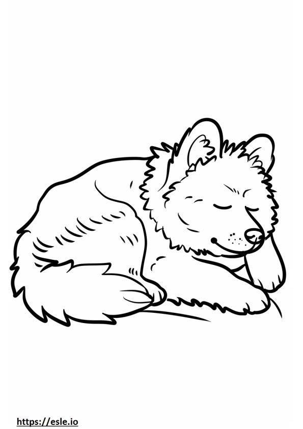 Amerikanischer Eskimohund schläft ausmalbild