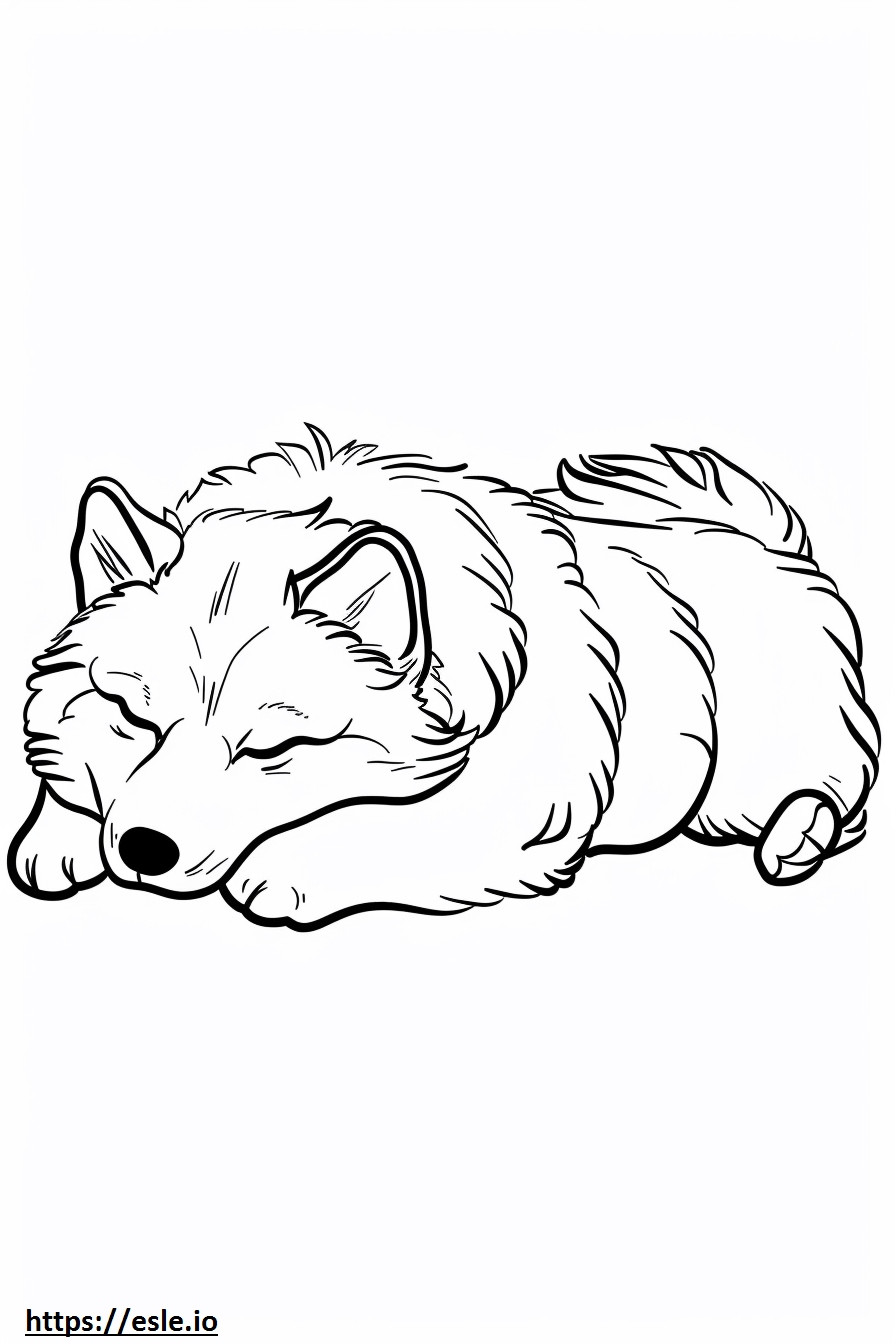 Perro esquimal americano durmiendo para colorear e imprimir