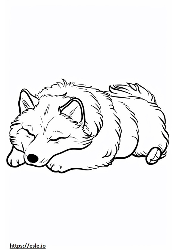 Anjing Eskimo Amerika Tidur gambar mewarnai