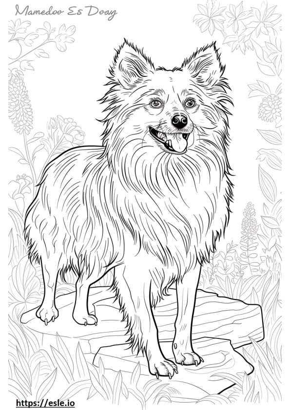 American Eskimo Dog Friendly coloring page