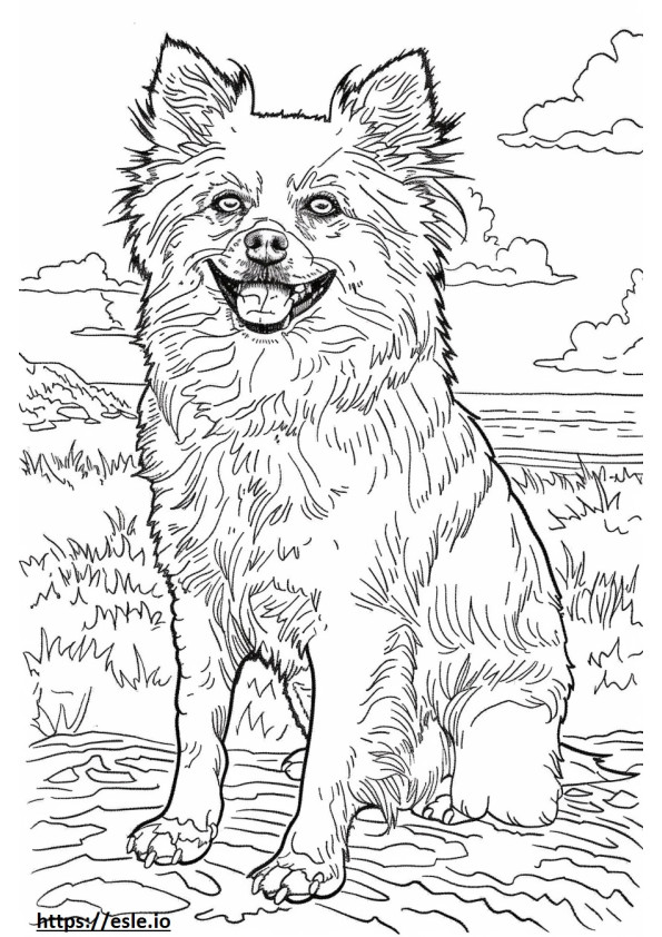 American Eskimo Dog Friendly coloring page