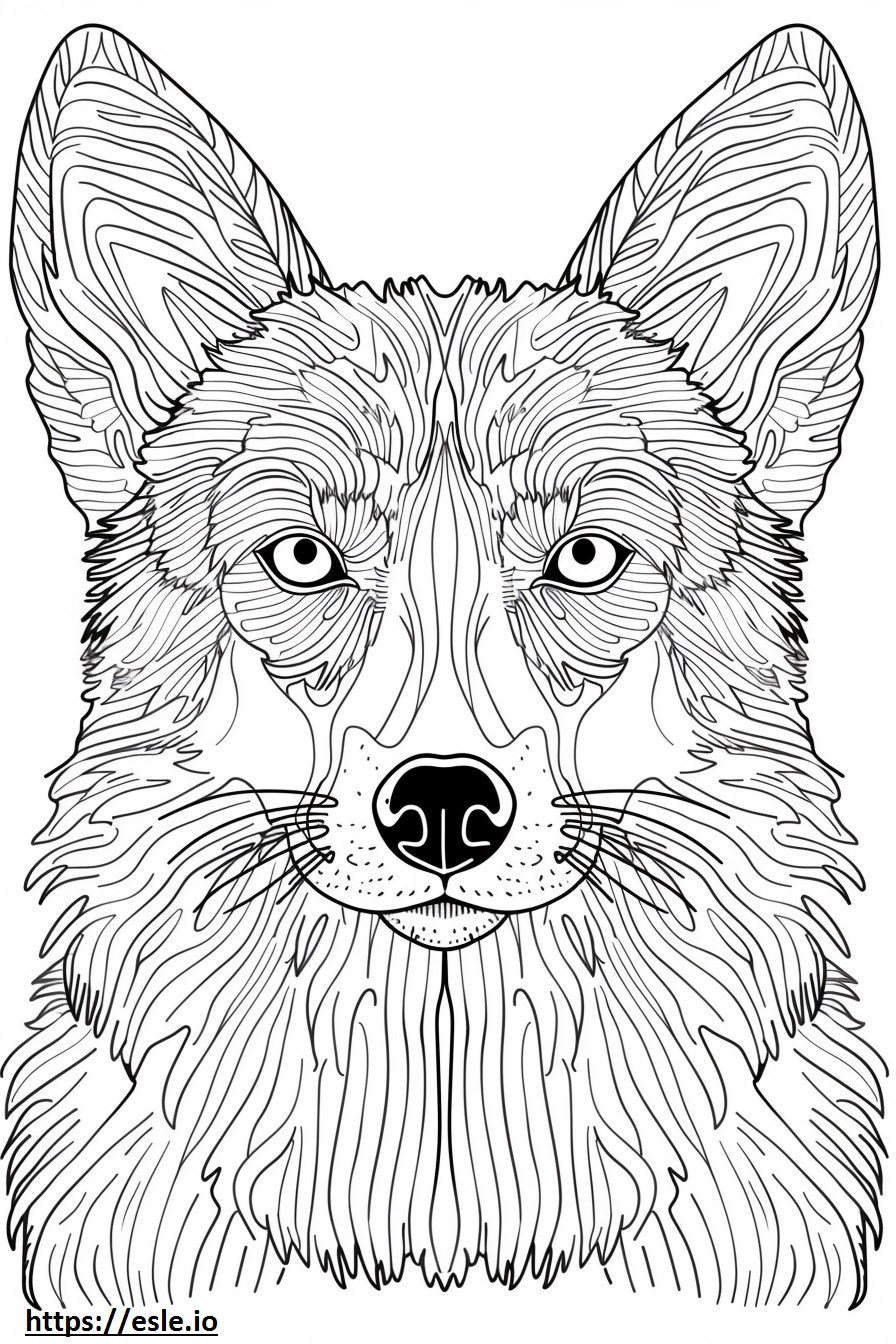 Amerikaans Foxhound-gezicht kleurplaat kleurplaat