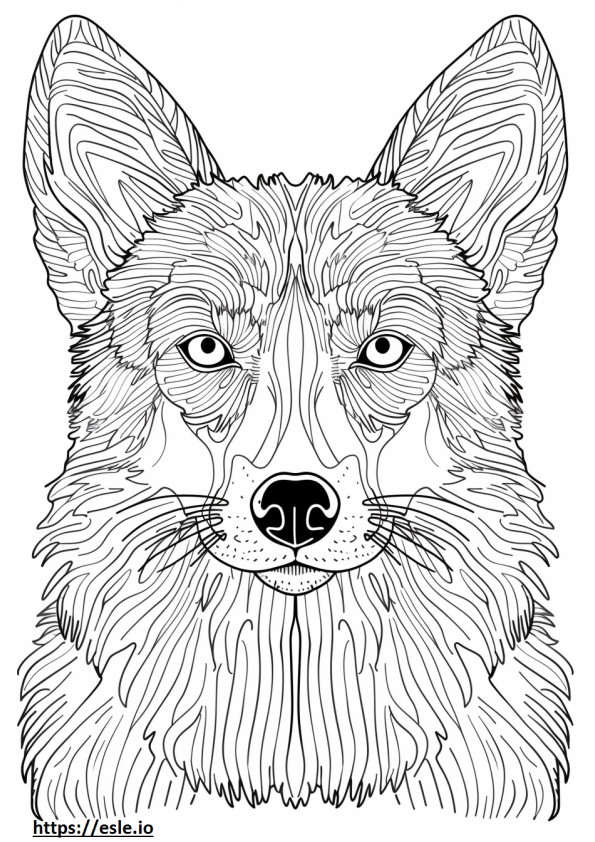 Coloriage Visage de Foxhound américain à imprimer
