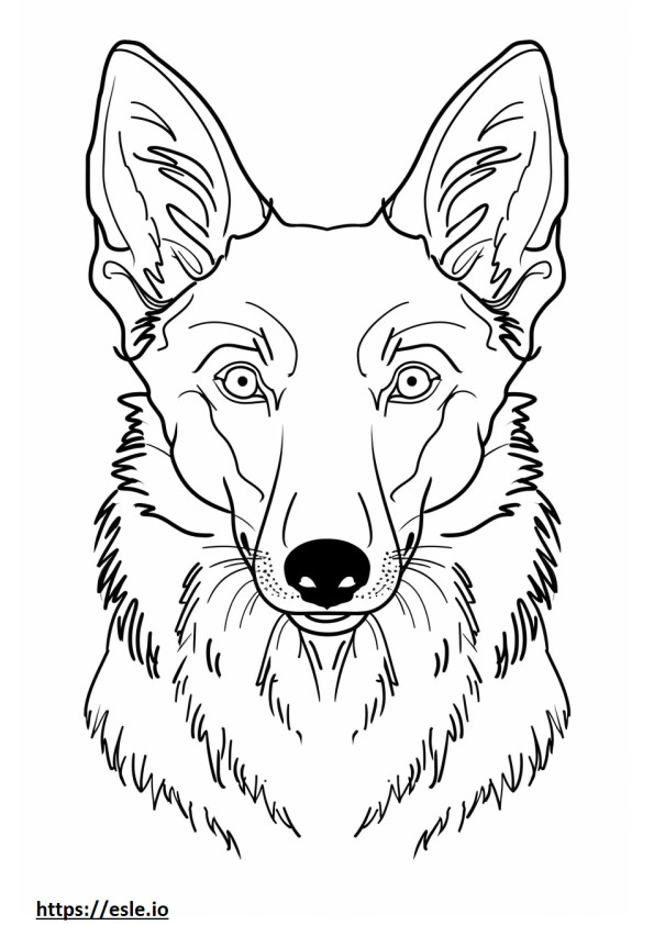 Amerikaans Foxhound-gezicht kleurplaat
