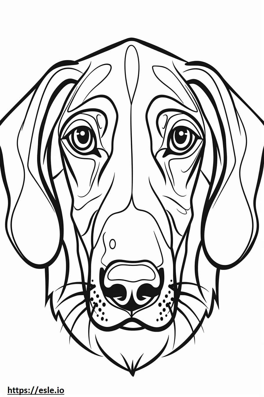Amerikaans Foxhound-gezicht kleurplaat kleurplaat