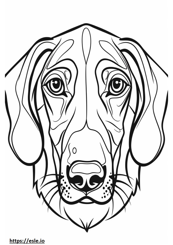 Amerikaans Foxhound-gezicht kleurplaat