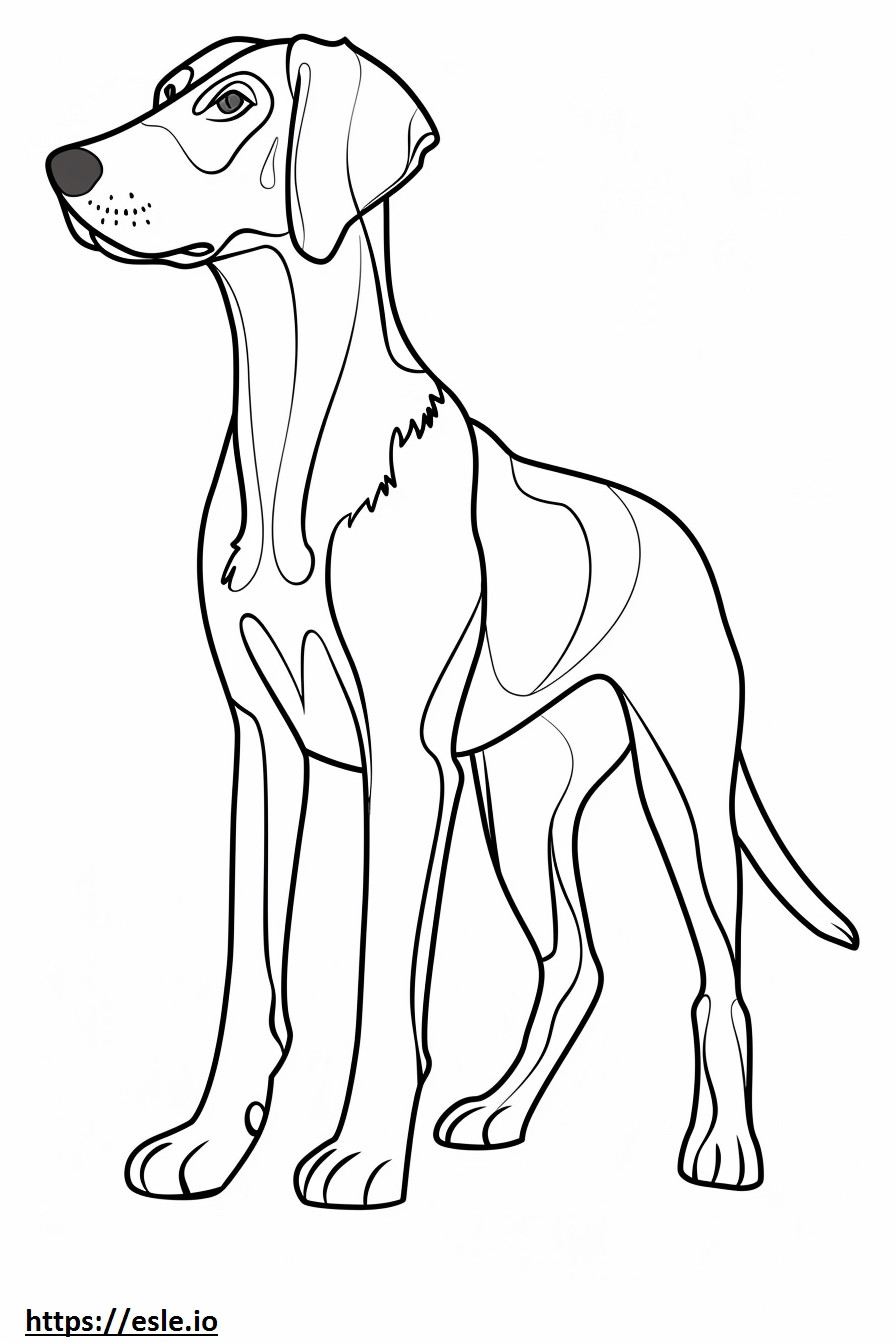 Amerikaanse Foxhound-tekenfilm kleurplaat kleurplaat