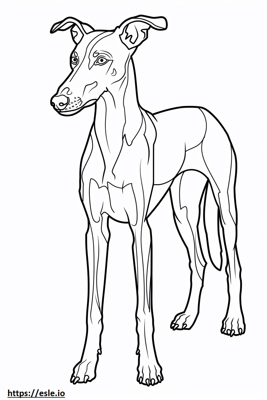 Coloriage Caricature de Foxhound américain à imprimer