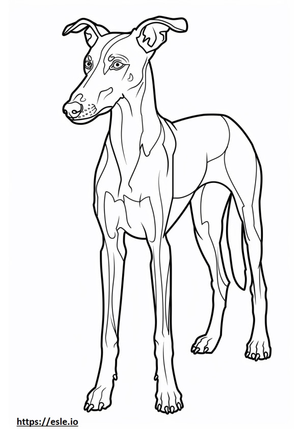 Cartone animato americano Foxhound da colorare