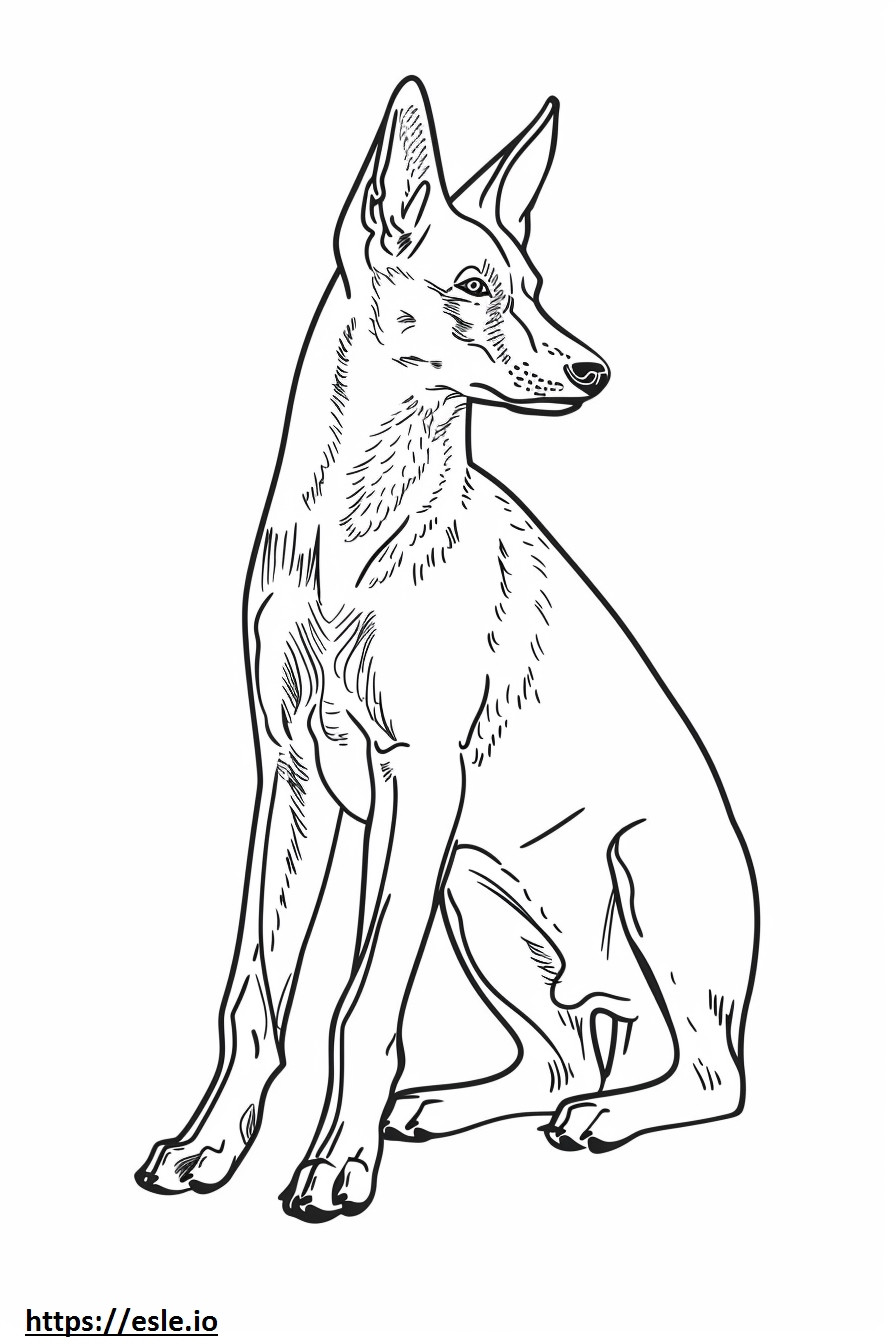 American Foxhound cute coloring page