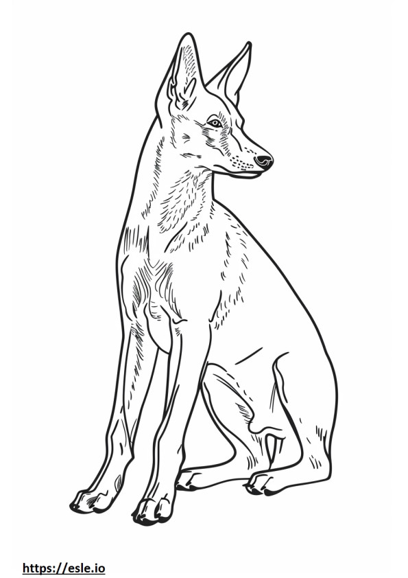 Foxhound americano fofo para colorir