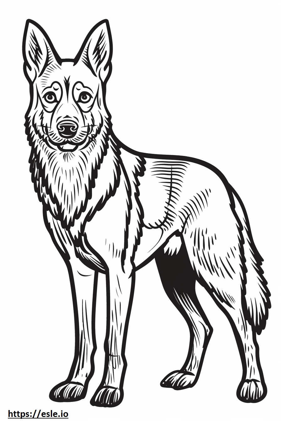 Amerikaanse Foxhound schattig kleurplaat kleurplaat