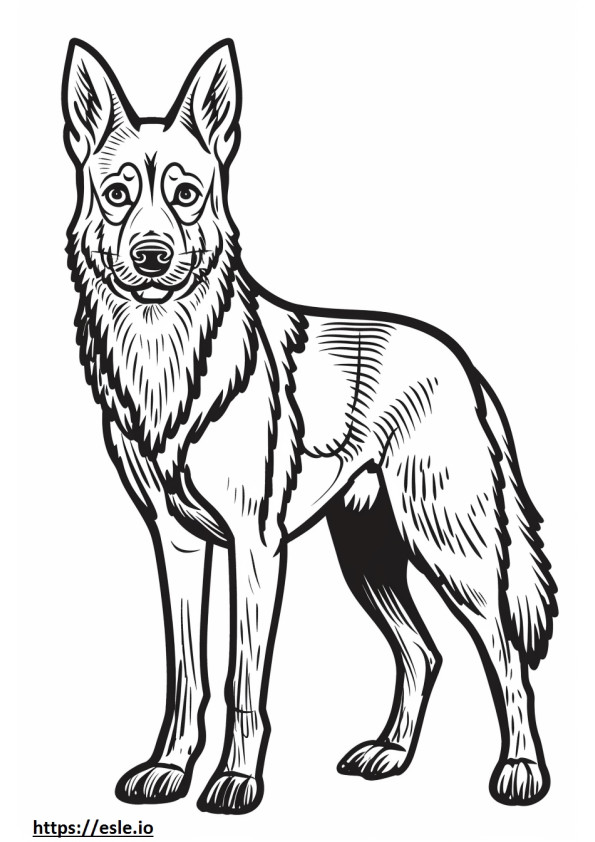 Foxhound american drăguț de colorat