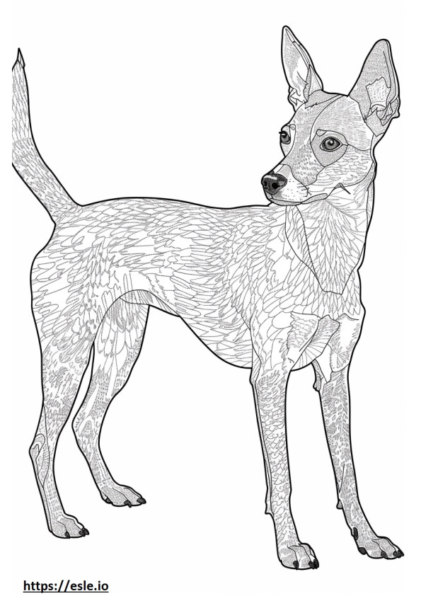 Coloriage Foxhound américain mignon à imprimer
