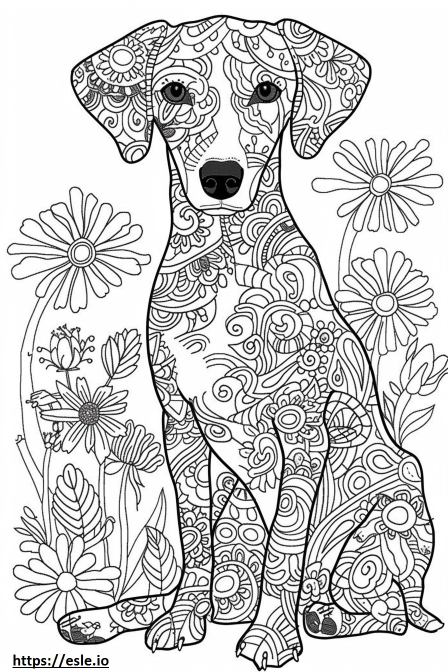 Amerikaanse Foxhound blij kleurplaat kleurplaat